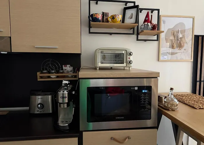 Luxury In Alpinе Free Daire Bansko